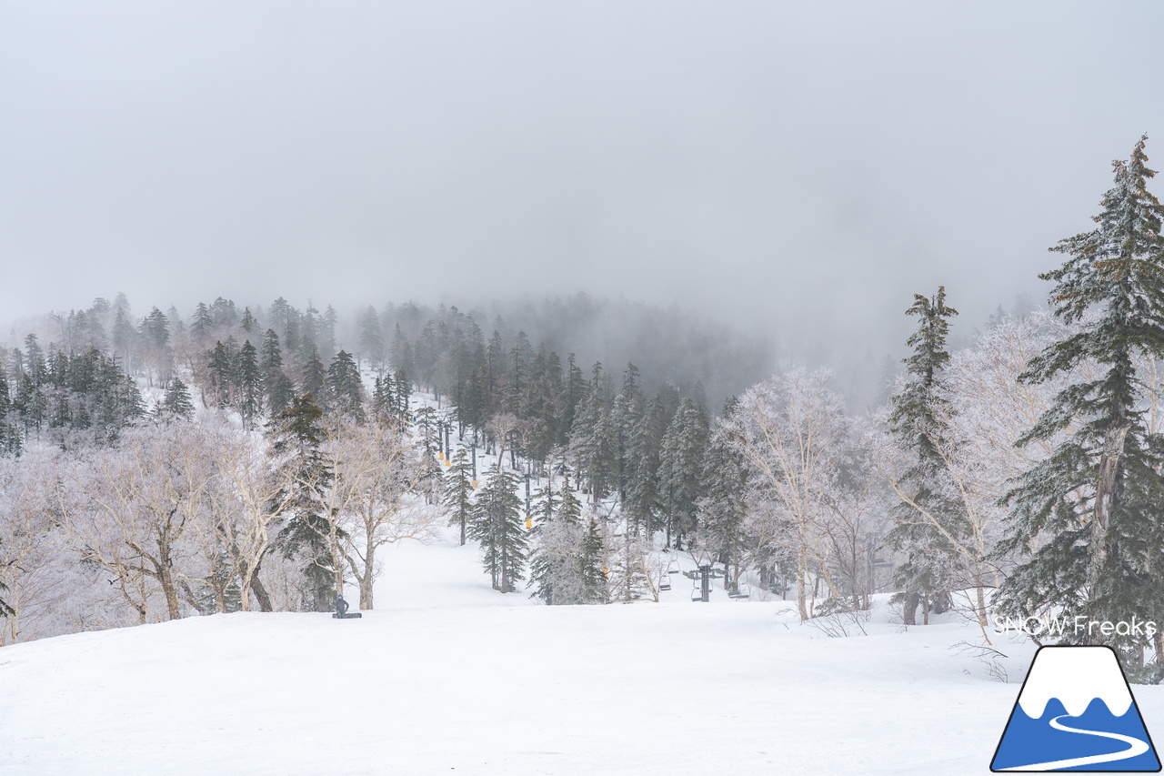 大雪山層雲峡・黒岳ロープウェイスキー場｜真っ白な『霧』に包まれた雲上のゲレンデ。春スキー＆スノーボードを楽しむなら、今がおススメです(^^)v